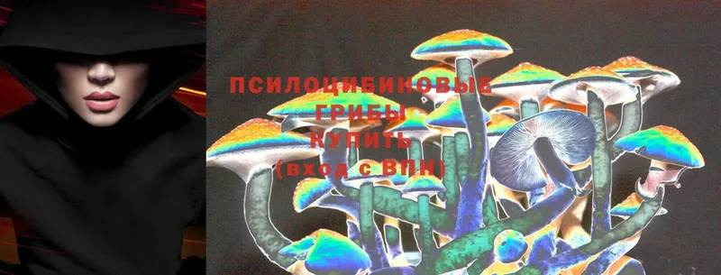 Псилоцибиновые грибы Magic Shrooms  Буйнакск 